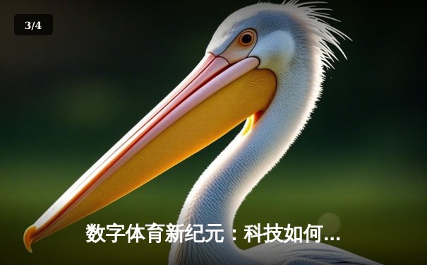 数字体育新纪元：科技如何重塑现代竞技的观赛体验与商业模式 - 3