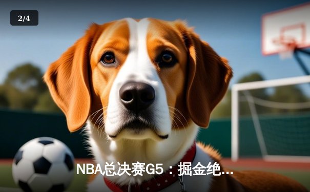 NBA总决赛G5：掘金绝地反击扳平总比分，约基奇40+三双载入史册 - 2